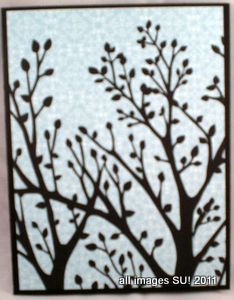 stampin up designer series paper