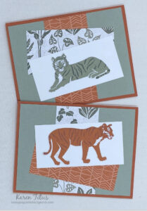 6 x 6 One Sheet Wonder cards Wild Cats